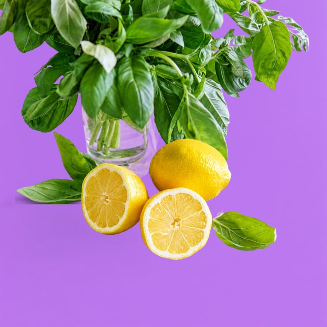 Kit GlamLime — photo 3